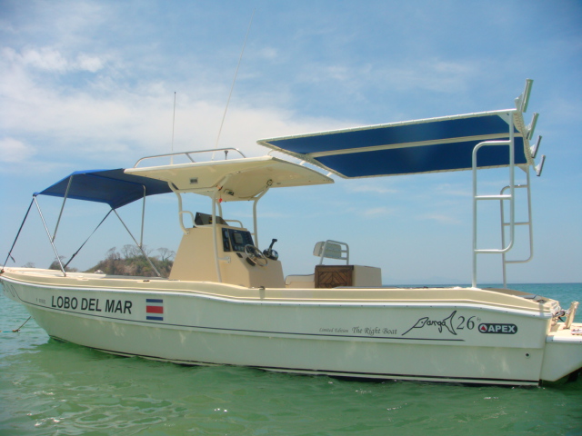 NUEVO PRECIO $ 60,000.- Se vende Panga Sapex 26\", Anio 2009